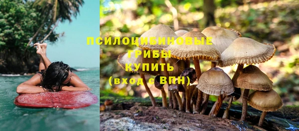 экстази Белокуриха