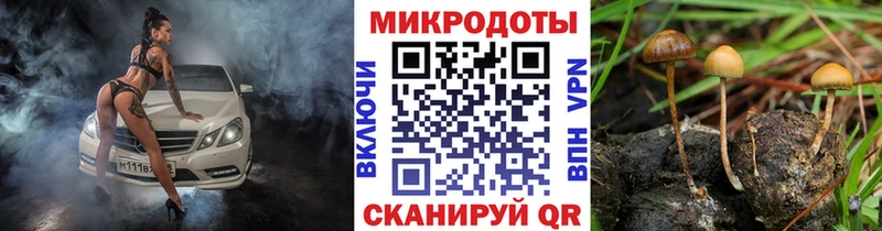ОМГ ОМГ маркетплейс  даркнет Telegram  Галлюциногенные грибы GOLDEN TEACHER  Высоковск 