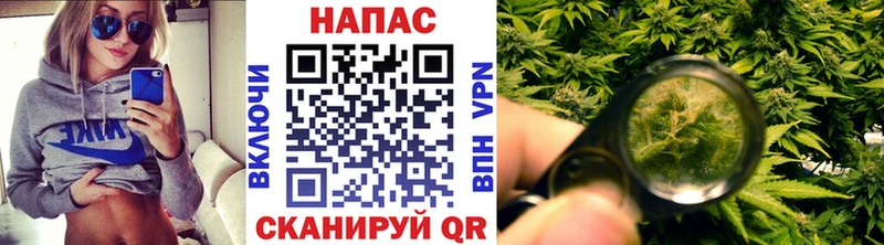 Канабис THC 21% что такое Высоковск